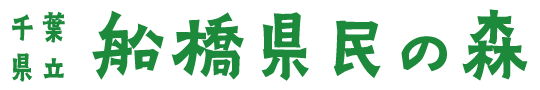 千葉県立 船橋県民の森 公式WEBサイト